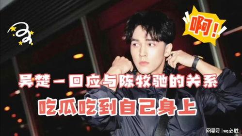 娱乐圈吃瓜陈牧驰,揭秘吃瓜背后的真相